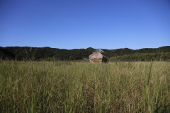 MG_6147©-Yohei-Yamakami