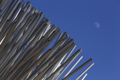 MG_6178-©-Yohei-Yamakami