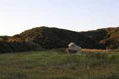 MG_6264-©-Yohei-Yamakami