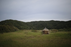 MG_6684©-Yohei-Yamakami