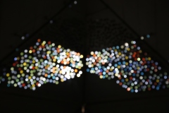 MG_6704©-Yohei-Yamakami