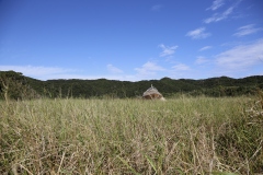 MG_7415-©-Yohei-Yamakami