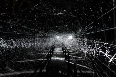 02-DSC08791_c_Tooru_Tsuji