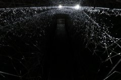 04-DSC01995_c_Tooru_Tsuji