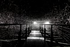 06-DSC08400_c_Tooru_Tsuji