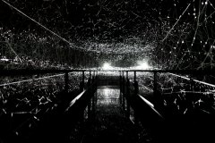 07-DSC08408_c_Tooru_Tsuji