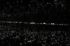 18-DSC09046_c_Tooru_Tsuji