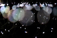 19-DSC08163_c_Tooru_Tsuji