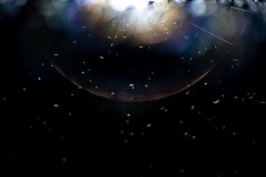 21-DSC08037_c_Tooru_Tsuji