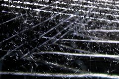 24-DSC09471_c_Tooru_Tsuji