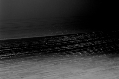 scan0006-©-Stefan-Merzer