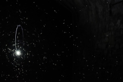 © Frank Vinken Centre for International Light Art Unna