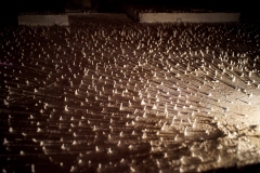 DSC01514x-©-Yasuhiro-Chida