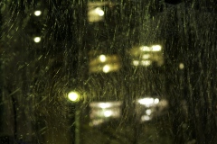 DSC_2016-©-Yusuke-Kitamura