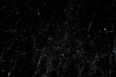 DSC_2044-©-Yusuke-Kitamura