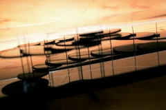 DSC_2924L-©-Yasuhiro-Chida