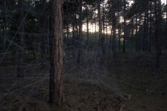 2019_itgwo_kunstroute_analemma_8402©Sander-Heezen