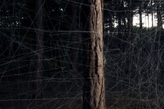 2019_itgwo_kunstroute_analemma_8409©Sander-Heezen