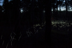 2019_itgwo_kunstroute_analemma_8574©Sander-Heezen