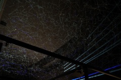 KIC00750©Yasuhiro Chida