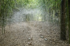 KIC00971_c_Yasuhiro_Chida