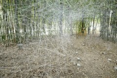 KIC00973_c_Yasuhiro_Chida