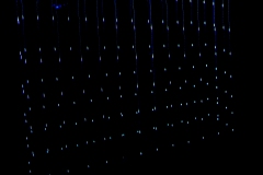 DSC02512xc © Yasuhiro Chida