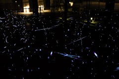 KunstFestSpiele Herrenhausen, 25.09.2020, Analemma, Yasuhiro Chida, Lichtinstallation — Deutschlandpremiere. Foto: Helge Krückeberg