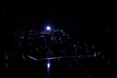 DSC03145cx © Yasuhiro Chida