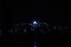 DSC03146c © Yasuhiro Chida