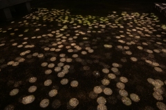 P1038408©Yasuhiro-Chida