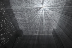 IMG_3836-©-Toru-Tsuji