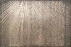 DSC02905 (c) Tooru Tsuji