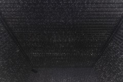 DSC01093ⓒToru-Tsuji