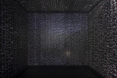 DSC01094ⓒToru-Tsuji