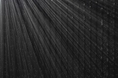 DSC01377ⓒToru-Tsuji