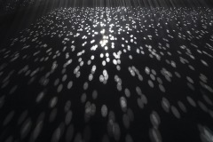 DSC01380ⓒToru-Tsuji