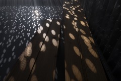 DSC01395ⓒToru-Tsuji