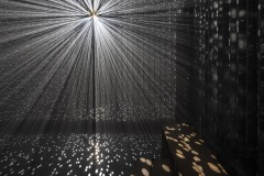 DSC01402ⓒToru-Tsuji