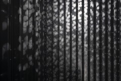 DSC01409ⓒToru-Tsuji