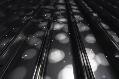 DSC01412ⓒToru-Tsuji