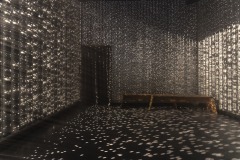 DSC01418ⓒToru-Tsuji