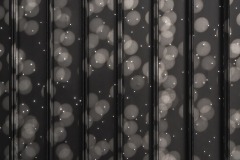 DSC01420ⓒToru-Tsuji