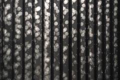 DSC01423ⓒToru-Tsuji