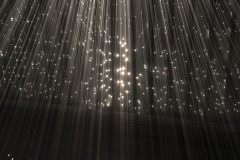 DSC01424ⓒToru-Tsuji