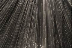 DSC01427ⓒToru-Tsuji