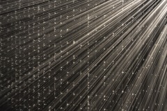 DSC01438ⓒToru-Tsuji