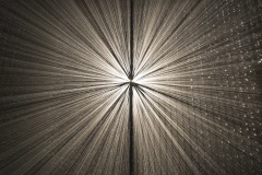 DSC01444ⓒToru-Tsuji