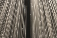 DSC01445ⓒToru-Tsuji