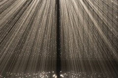 DSC01451ⓒToru-Tsuji